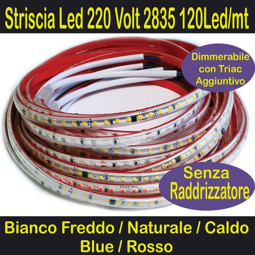 Striscia led bianca - bianca, 220