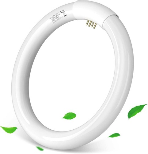 Circolina neon 220v - neon,